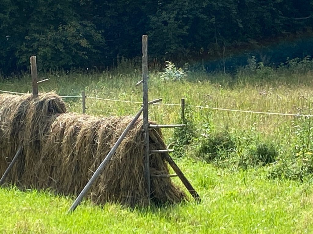 Framtidsfullmakt